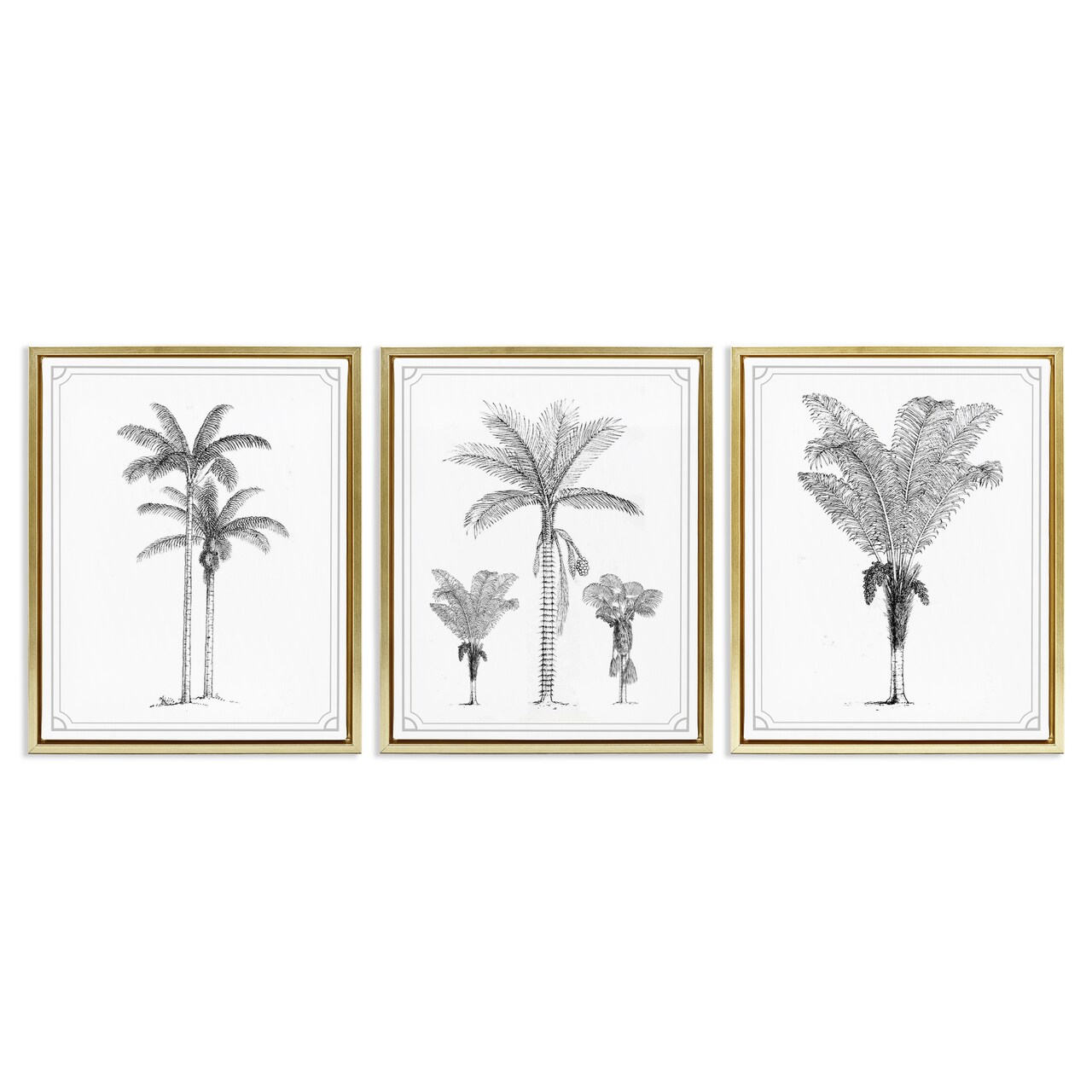 Stupell Industries Minimal Vintage Palm Tree Sketches 3pc Floating Frame Set, design by Lettered and Lined